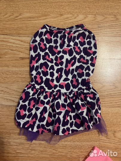 Одежда для маленьких собачек