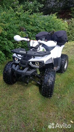 Avantis Hunter 8 New 125 Premium