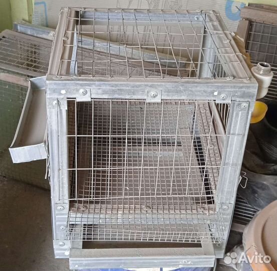 Клетки для перепелов