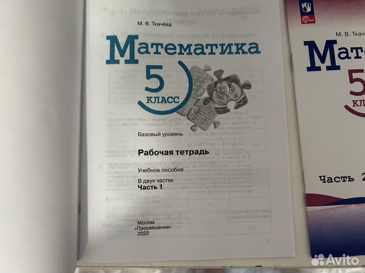 Рабочая тетрадь математика 5 класс 2 части