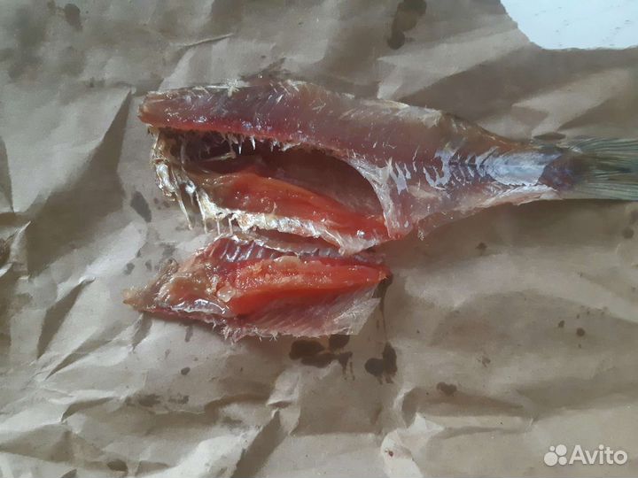 Сорожка сорога рыба