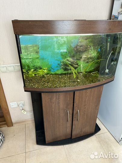 Аквариум с тумбой