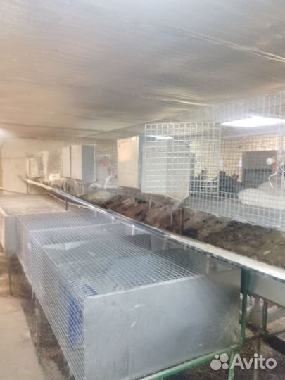 Клетка для кролика