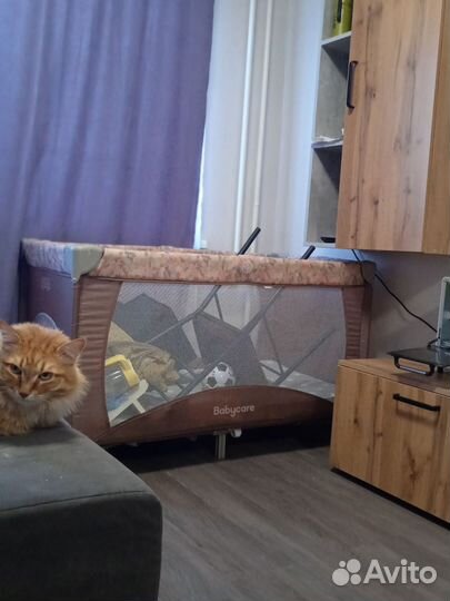 Детская кровать манеж с матрасом