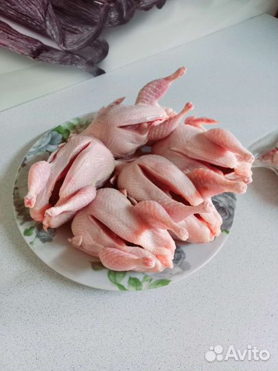 Перепела, тушки потрошёные охлажденные