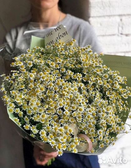 Букеты ромашек