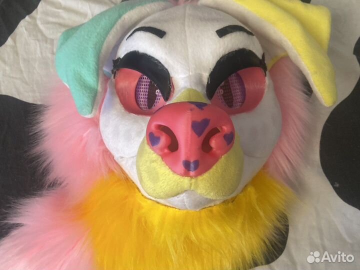 Фурсьют собаки