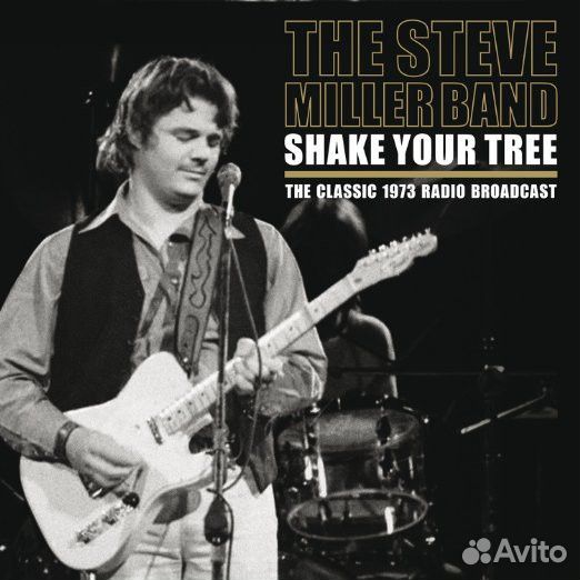 Steve Miller Band - Shake Your Tree