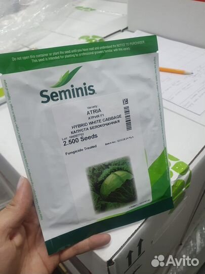 Семена капуста Атрия гибрид 2 500с Семинис
