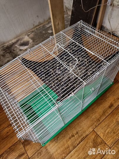 Клетка для грызунов
