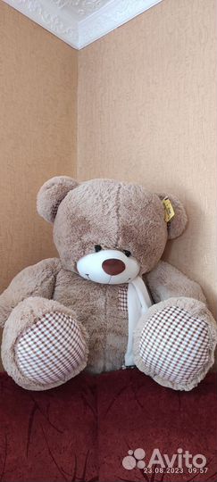 Плюшевый медведь