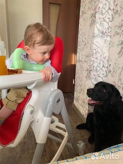 Стульчик для кормления cam