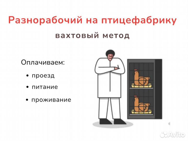 Упаковщик вахтой птицефабрика 