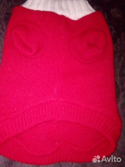 Одежда для маленьких собак