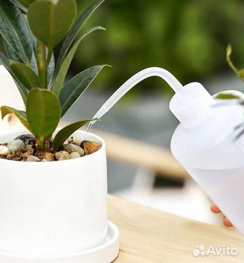 Лейка для суккулентов или рассады б/у