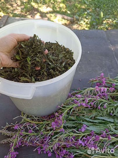 Иван-чай ферментированный