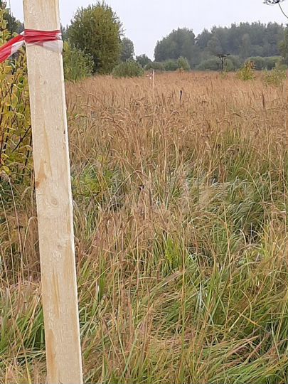 Участок 25 сот. (ИЖС)