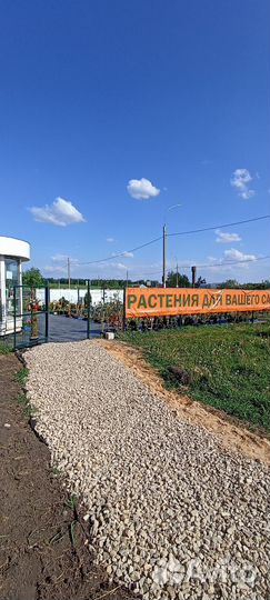 Тетерев-Сад