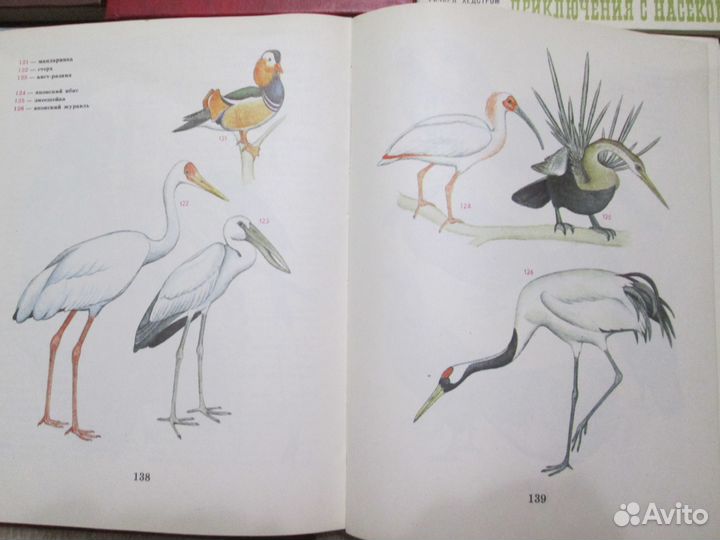 Книги СССР Лес, птицы, насекомые. животные