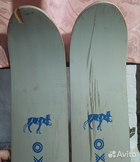 Лыжи охотничьи