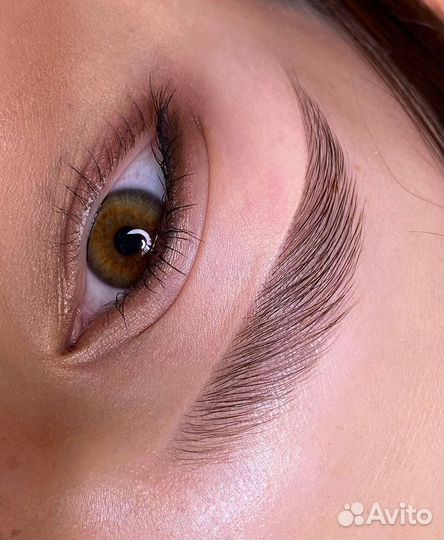 Индивидуальное обучение «Бровист с 0»