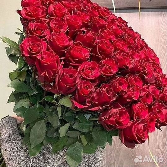 Розы гиганты 140 150 160 170 180 200