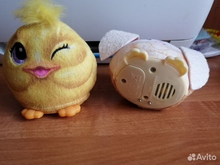 Pusheen cat
