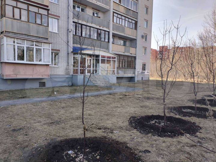 Свободного назначения, 59.1 м²