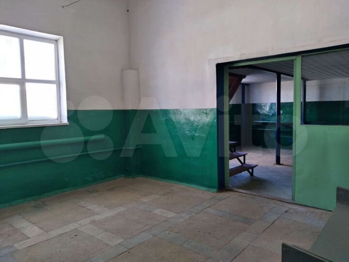 Торговая площадь, 123.3 м²