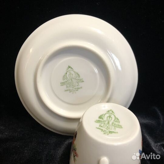 Кофейная пара Попугаи Дулево