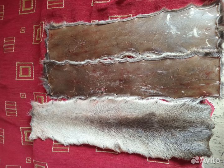 Камус лосиный