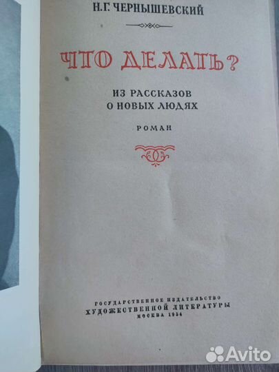 Чернышевский. Что делать