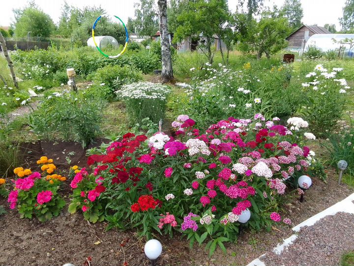 Участок 8,5 сот. (ИЖС)