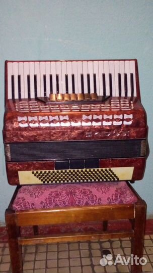 Аккордеон борей