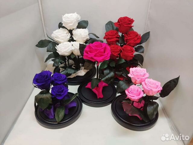 Роза в колбе оптом