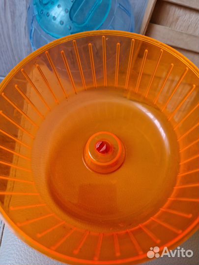 Беговое колесо прогулочный шар для хомяка джунгари