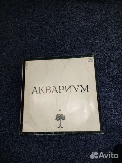 Виниловые пластинка аквариум