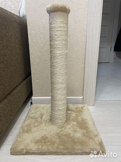 Когтеточка