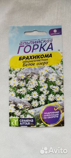 Набор семян Альпийская горка (8 уп)