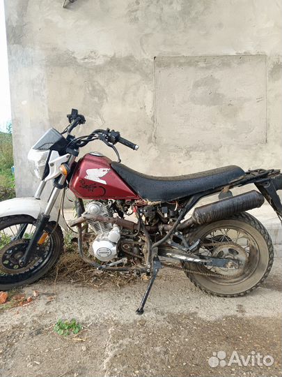 Дисна фантом