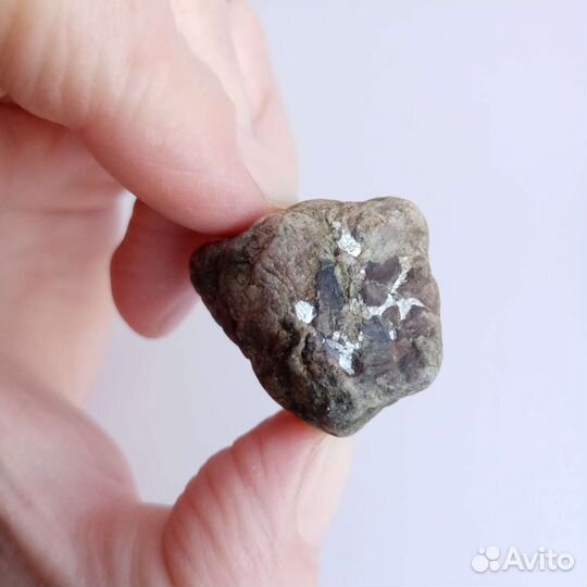 Окаменелости