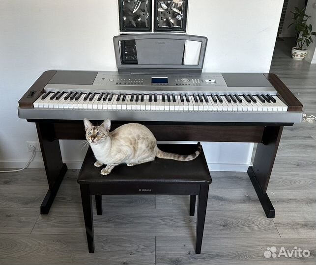 Цифровое пианино yamaha Portable Grand DGX-640