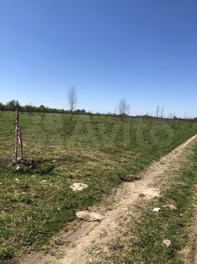 Участок 12,5 сот. (СНТ, ДНП)