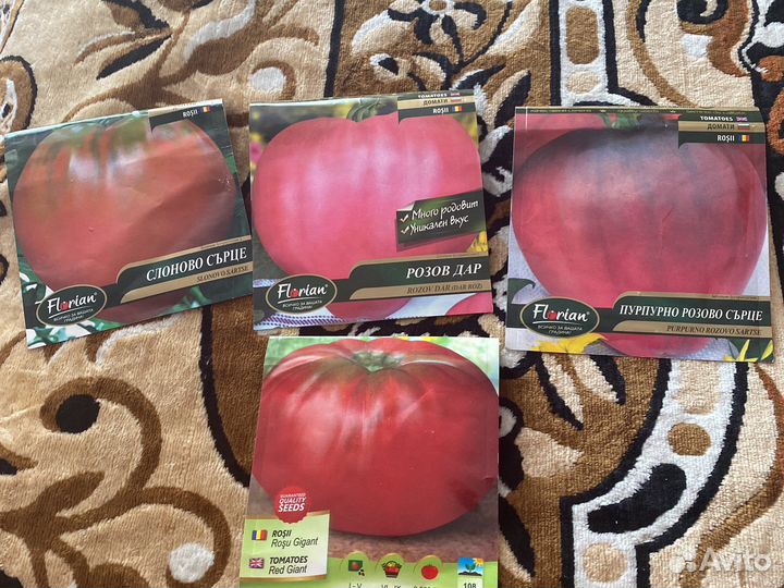 Рассада помидор