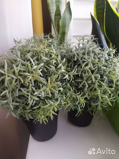 Фейка IKEA много