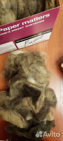 Собачья шерсть пух