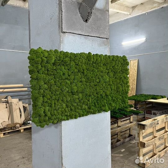 Панель из мха