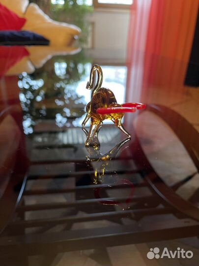 Бычок стеклянный