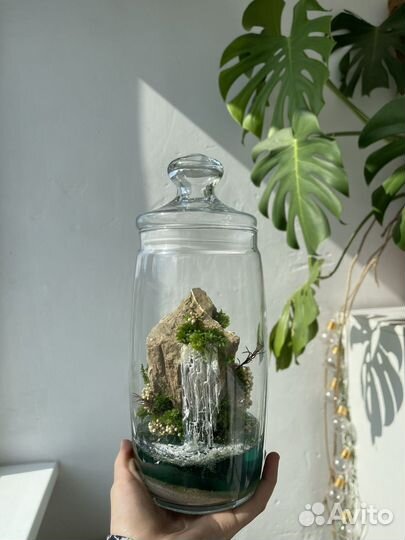 Флорариум (моссариум)