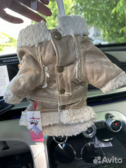 Одежда для животных